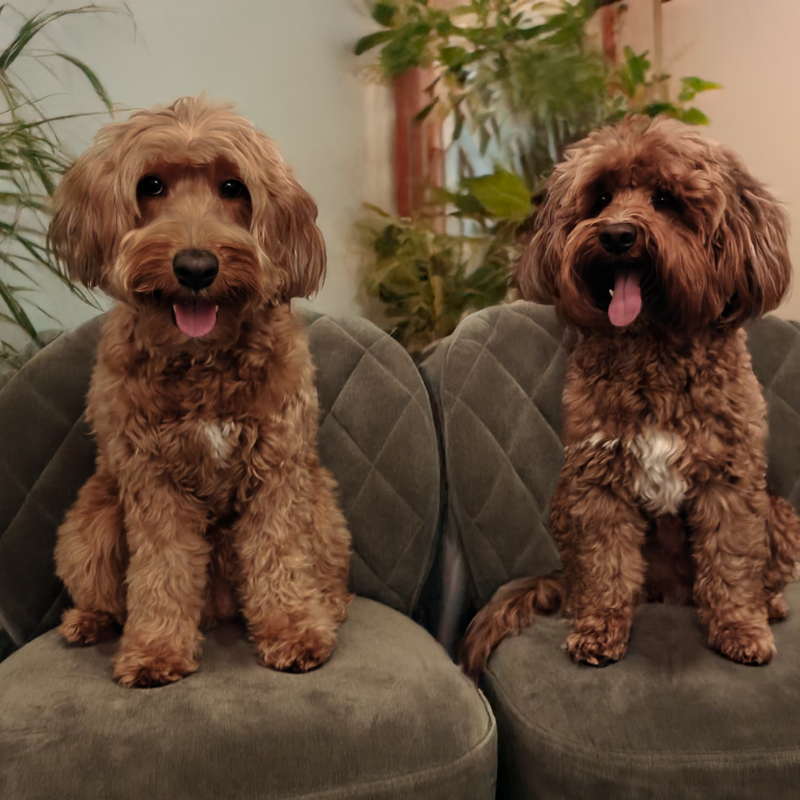 Foto van Mica x Shiro